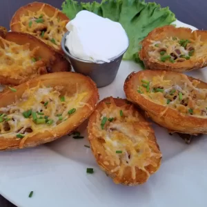Potato Skins Appetizers